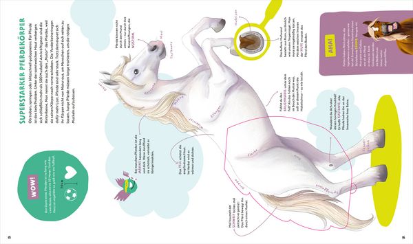 Produktbild: WAS IST WAS Kids Pferde und Ponys. Wild, stark und einfach toll!