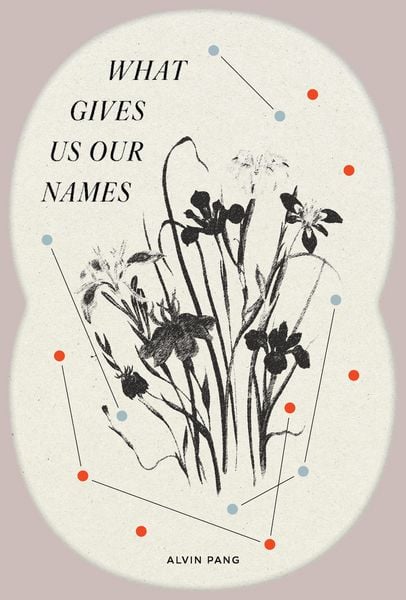 Produktbild: What Gives Us Our Names