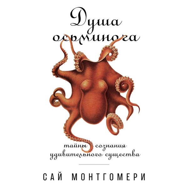 Produktbild: Dusha os'minoga: Tayny sozdaniya udivitel'nogo sushchestva