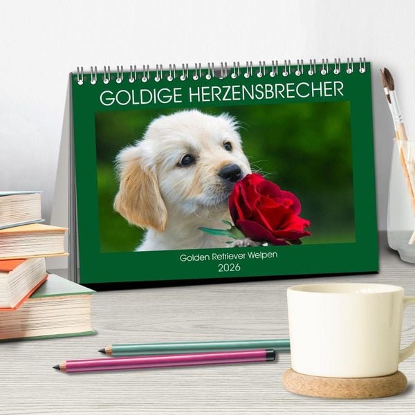 Produktbild: Goldige Herzensbrecher - Golden Retriever Welpen (Tischkalender 2026 DIN A5 quer), CALVENDO Monatskalender