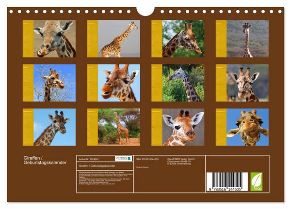 Produktbild: Giraffen / Geburtstagskalender (Wandkalender 2026 DIN A4 quer), CALVENDO Monatskalender