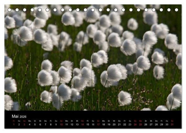 Produktbild: Sibirien- Impressionen von der Lena (Tischkalender 2026 DIN A5 quer), CALVENDO Monatskalender