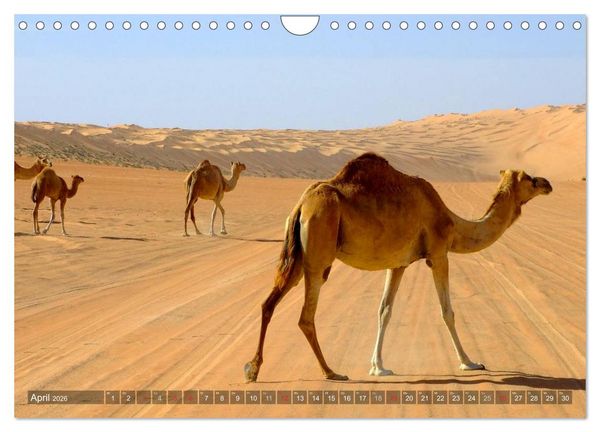 Produktbild: Oman - Eine Bilder-Reise (Wandkalender 2026 DIN A4 quer), CALVENDO Monatskalender