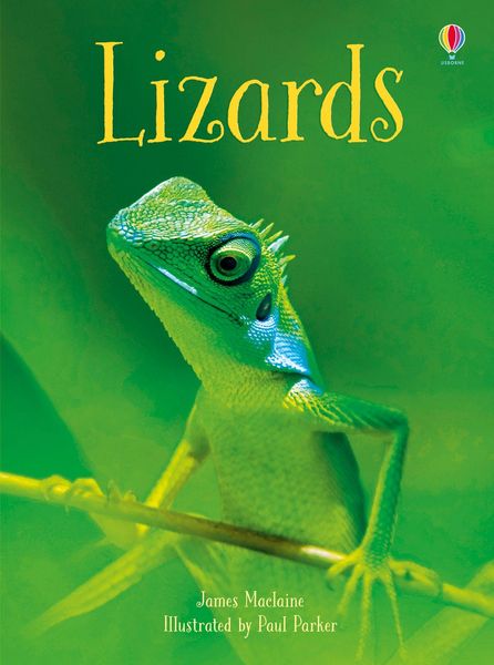 Produktbild: Lizards