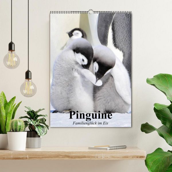 Produktbild: Pinguine. Familiengl&uuml;ck im Eis (Wandkalender 2026 DIN A2 hoch), CALVENDO Monatskalender