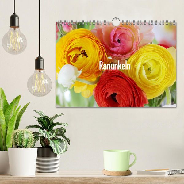 Produktbild: Ranunkeln (Wandkalender 2026 DIN A4 quer), CALVENDO Monatskalender