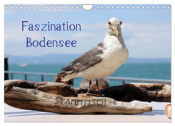 Faszination Bodensee (Wandkalender 2026 DIN A4 quer), CALVENDO Monatskalender