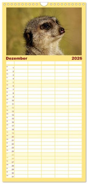Produktbild: Familienplaner 2026 - Erdm&auml;nnchen - Zusammen sind wir stark mit 5 Spalten (Wandkalender, 21 x 45 cm) CALVENDO