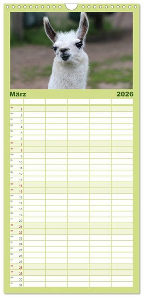 Produktbild: Familienplaner 2026 - Lama-Kalender mit 5 Spalten (Wandkalender, 21 x 45 cm) CALVENDO