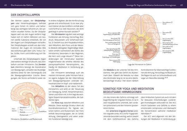 Produktbild: Die Neurowissenschaft hinter Yoga und Meditation
