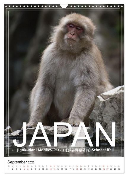 Produktbild: Japan PosterArt 2024 (Wandkalender 2026 DIN A3 hoch), CALVENDO Monatskalender