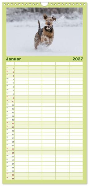 Produktbild: Familienplaner 2027 - Airedale-Terrier, was sonst! mit 5 Spalten (Wandkalender, 21 x 45 cm) CALVENDO