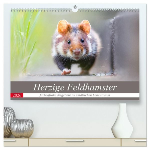 Produktbild: Herzige Feldhamster - farbenfrohe Nagetiere im st&auml;dtischen Lebensraum (hochwertiger Premium Wandkalender 2026 DIN A2 quer), Kunstdruck in Hochglanz