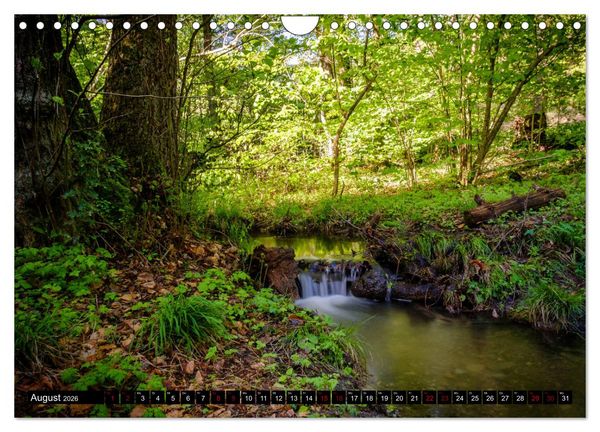 Produktbild: Wege des einfachen Gl&uuml;cks - Spazierg&auml;nge im Wald (Wandkalender 2026 DIN A4 quer), CALVENDO Monatskalender