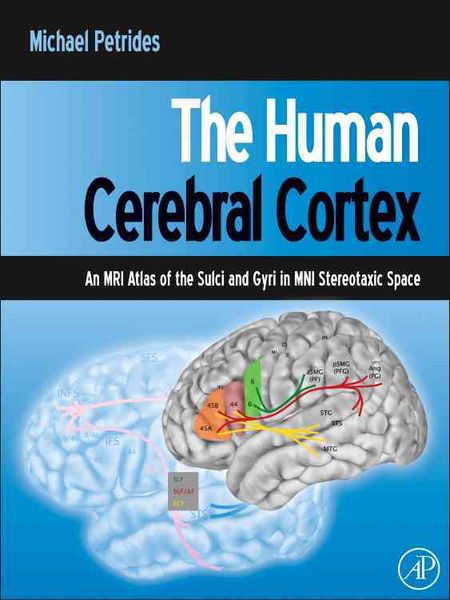 Produktbild: The Human Cerebral Cortex