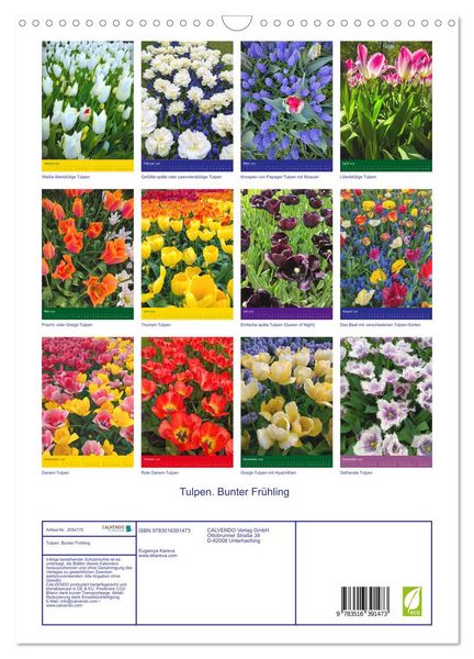 Produktbild: Tulpen. Bunter Fr&uuml;hling (Wandkalender 2026 DIN A3 hoch), CALVENDO Monatskalender
