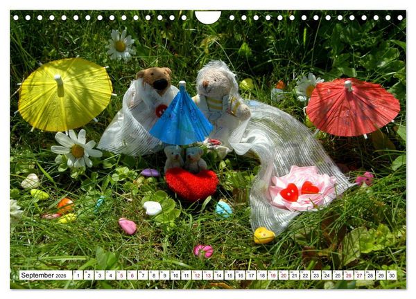 Produktbild: Die Hochzeitsb&auml;rchen (Wandkalender 2026 DIN A4 quer), CALVENDO Monatskalender