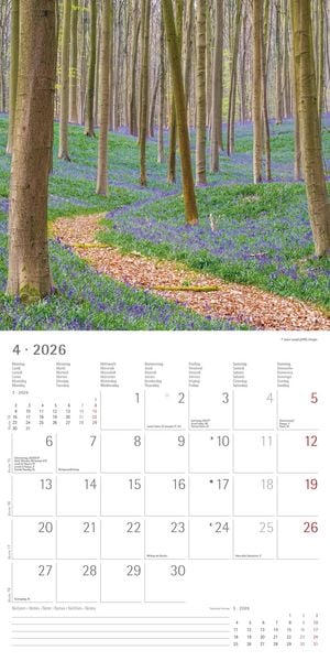 Produktbild: Wege 2026 - Broschürenkalender 30x30 cm (30x60 geöffnet) - Kalender mit Platz für Notizen - Paths - Bildkalender - Wandplaner - Naturkalender