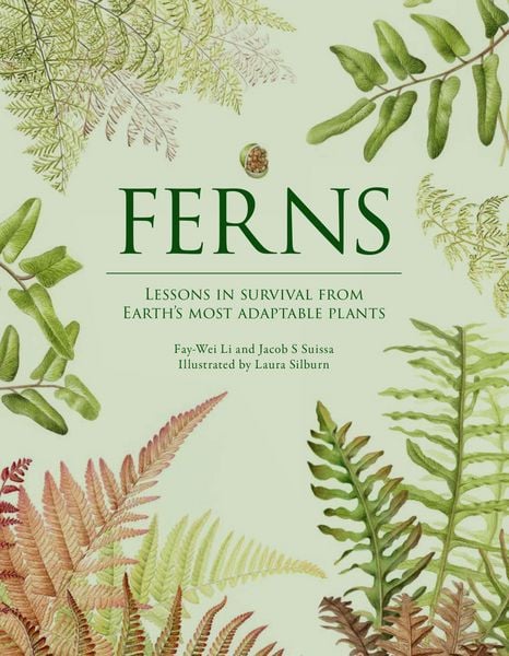 Produktbild: Ferns