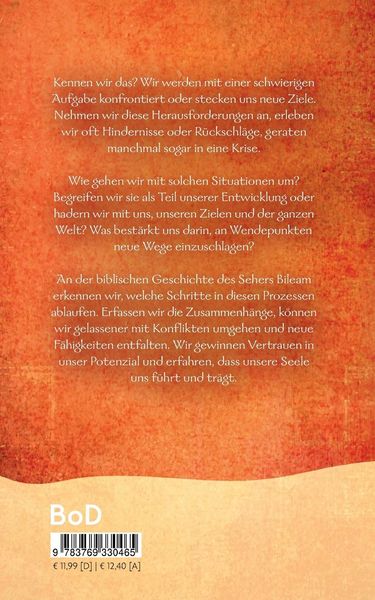 Produktbild: Der Bileam Prozess