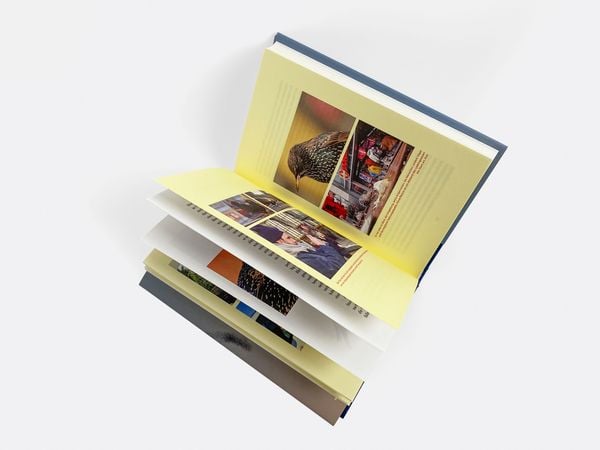 Produktbild: Unter Staren