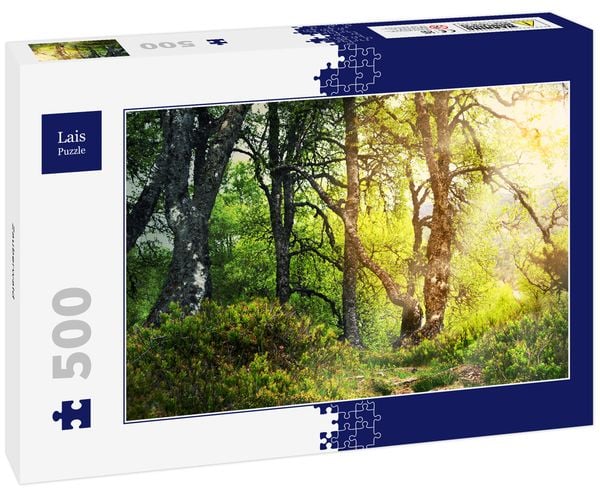 Lais Puzzle Zauberwald 500 Teile