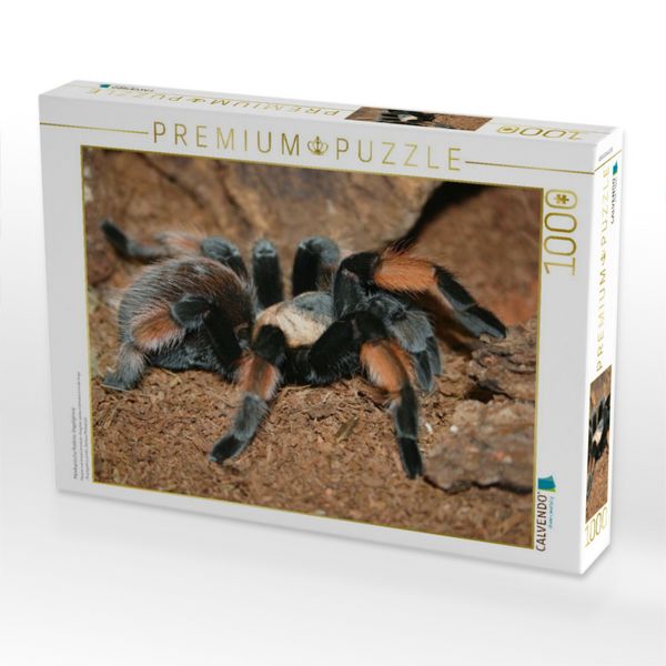 Produktbild: CALVENDO Puzzle Mexikanische Rotknie-Vogelspinne | 1000 Teile Lege-Gr&ouml;&szlig;e 64x48cm Foto-Puzzle f&uuml;r gl&uuml;ckliche Stunden