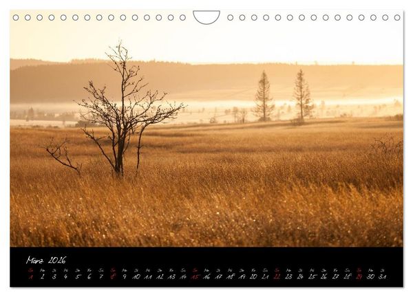 Produktbild: Hochmoor Hohes Venn (Wandkalender 2026 DIN A4 quer), CALVENDO Monatskalender