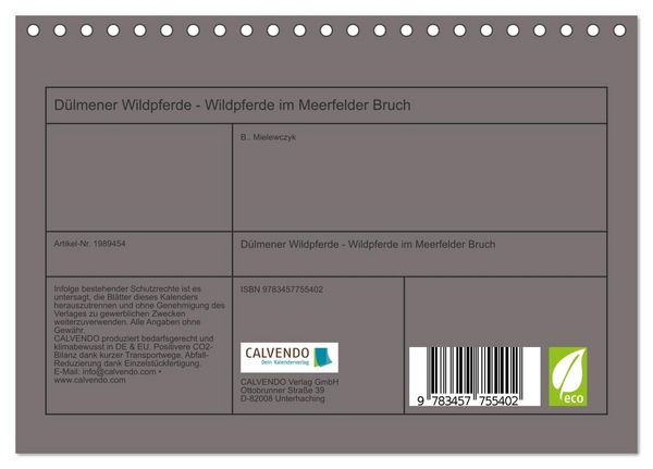 Produktbild: D&uuml;lmener Wildpferde - Wildpferde im Meerfelder Bruch (Tischkalender 2026 DIN A5 quer), CALVENDO Monatskalender