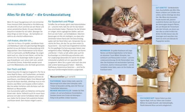 Produktbild: Katzen