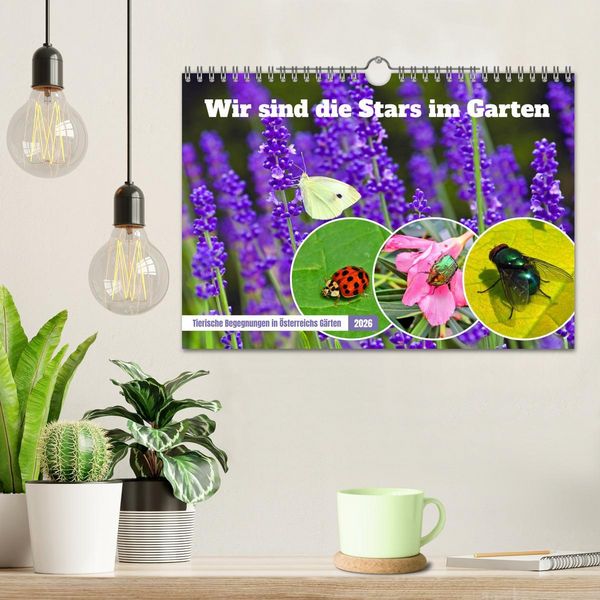 Produktbild: Wir sind die Stars im Garten (Wandkalender 2026 DIN A4 quer), CALVENDO Monatskalender
