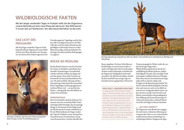 Produktbild: Auf Rehe jagen
