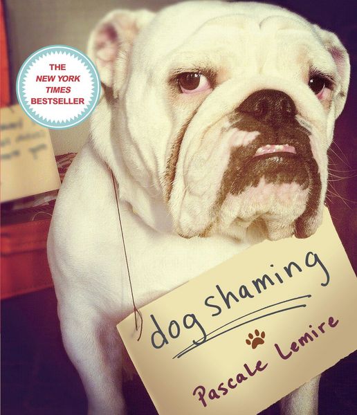 Produktbild: Dog Shaming