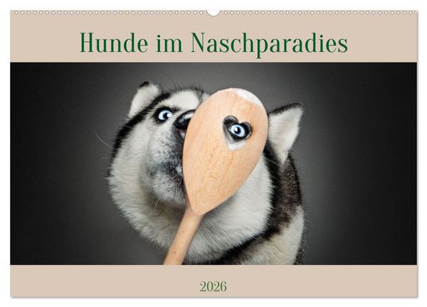Produktbild: Hunde im Naschparadies (Wandkalender 2026 DIN A2 quer), CALVENDO Monatskalender