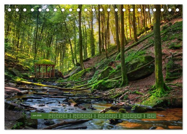 Produktbild: Magischer Pf&auml;lzer Wald (Tischkalender 2026 DIN A5 quer), CALVENDO Monatskalender