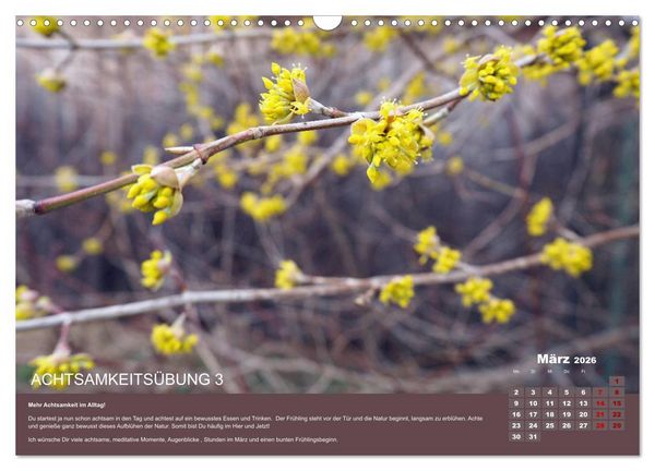 Produktbild: Achtsamkeit, 12 &Uuml;bungen zu mehr Achtsamkeit. (Wandkalender 2026 DIN A3 quer), CALVENDO Monatskalender
