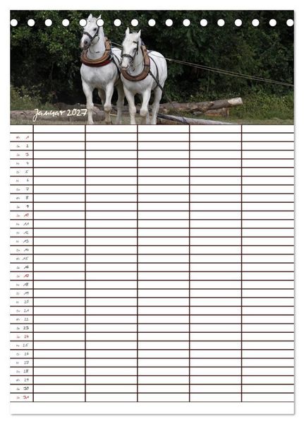 Produktbild: Der Kaltblut-Familienplaner (Tischkalender 2027 DIN A5 hoch), CALVENDO Monatskalender