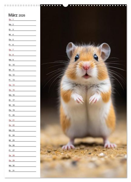 Produktbild: Ganz von vorn (hochwertiger Premium Wandkalender 2026 DIN A2 hoch), Kunstdruck in Hochglanz