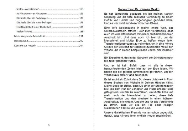 Produktbild: Galaktische Botschaften f&uuml;r Erwachende Sternensaat