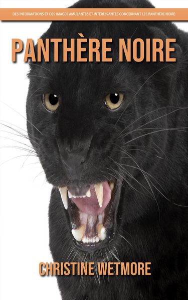 Produktbild: Panth&egrave;re Noire - Des Informations et des Images Amusantes et Int&eacute;ressantes concernant les Panth&egrave;re Noire