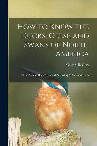 Produktbild: How to Know the Ducks, Geese and Swans of North America: All the Species Being Grouped According to Size and Color