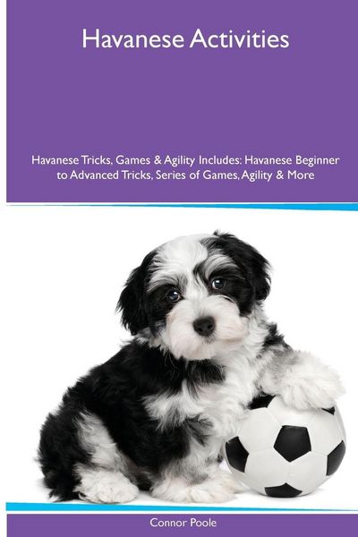 Produktbild: Havanese Activities Havanese Tricks, Games & Agility. Includes