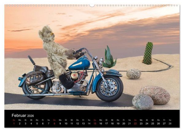 Produktbild: Martin B&auml;ren (hochwertiger Premium Wandkalender 2026 DIN A2 quer), Kunstdruck in Hochglanz