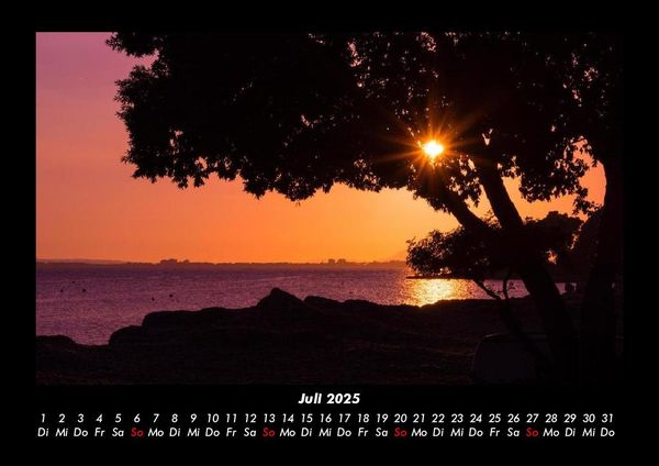 Produktbild: B&auml;ume 2025 Fotokalender DIN A3