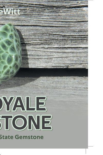 Produktbild: Isle Royale Greenstone