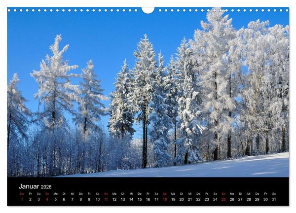 Produktbild: B&auml;ume (Wandkalender 2026 DIN A3 quer), CALVENDO Monatskalender