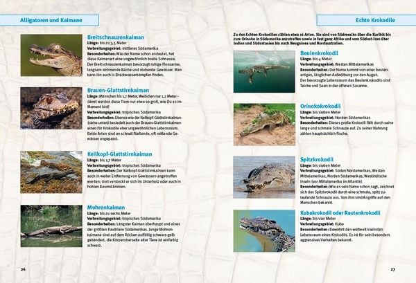 Produktbild: Entdecke die Krokodile