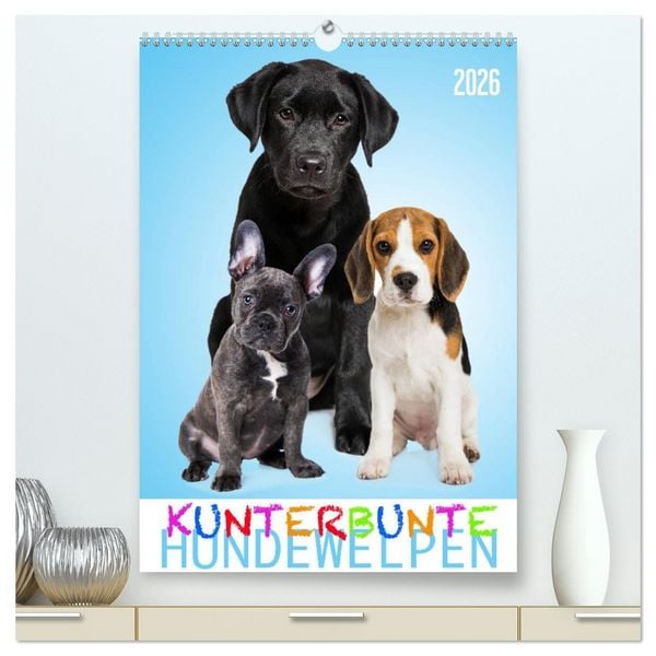 Produktbild: Kunterbunte Hundewelpen (hochwertiger Premium Wandkalender 2026 DIN A2 hoch), Kunstdruck in Hochglanz