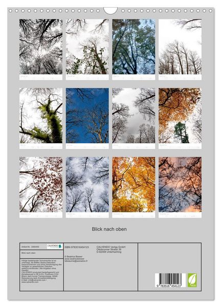 Produktbild: Blick nach oben (Wandkalender 2026 DIN A3 hoch), CALVENDO Monatskalender