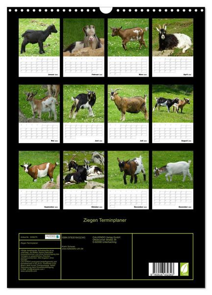 Produktbild: Ziegen Terminplaner (Wandkalender 2026 DIN A3 hoch), CALVENDO Monatskalender
